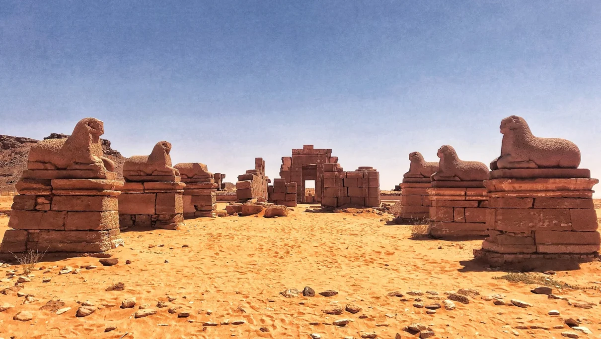 Taking the Long View